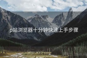 p站浏览器十分钟快速上手步骤 p站浏览器十分钟快速上手步骤