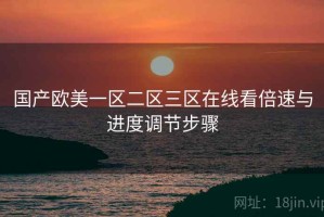 国产欧美一区二区三区在线看倍速与进度调节步骤 国产欧美一区二区三区在线看倍速与进度调节步骤