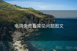 电鸽免费看常见问题图文 电鸽免费看常见问题图文