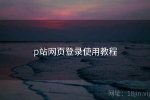 p站网页登录使用教程 p站网页登录使用教程