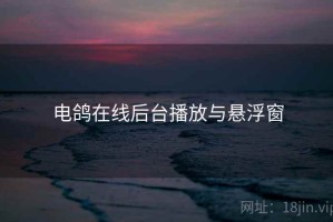 电鸽在线后台播放与悬浮窗 电鸽在线后台播放与悬浮窗