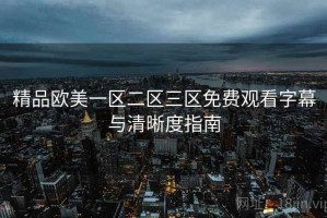 精品欧美一区二区三区免费观看字幕与清晰度指南 精品欧美一区二区三区免费观看字幕与清晰度指南