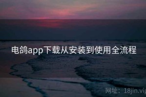 电鸽app下载从安装到使用全流程 电鸽app下载从安装到使用全流程