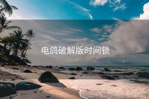 电鸽破解版时间锁 电鸽破解版时间锁