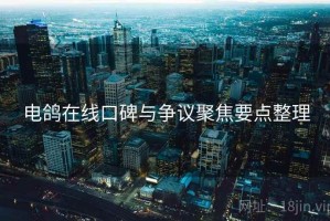 电鸽在线口碑与争议聚焦要点整理 电鸽在线口碑与争议聚焦要点整理