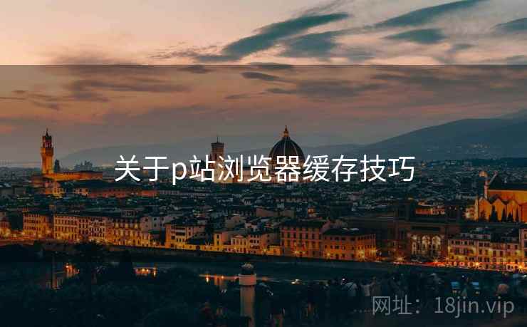关于p站浏览器缓存技巧 关于p站浏览器缓存技巧
