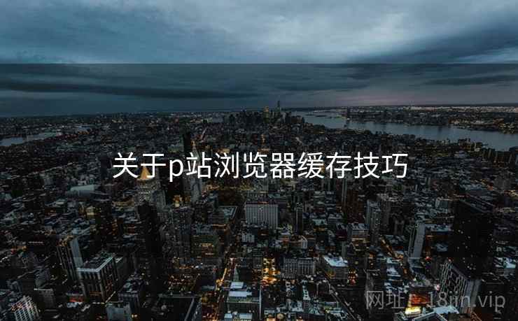 关于p站浏览器缓存技巧 关于p站浏览器缓存技巧
