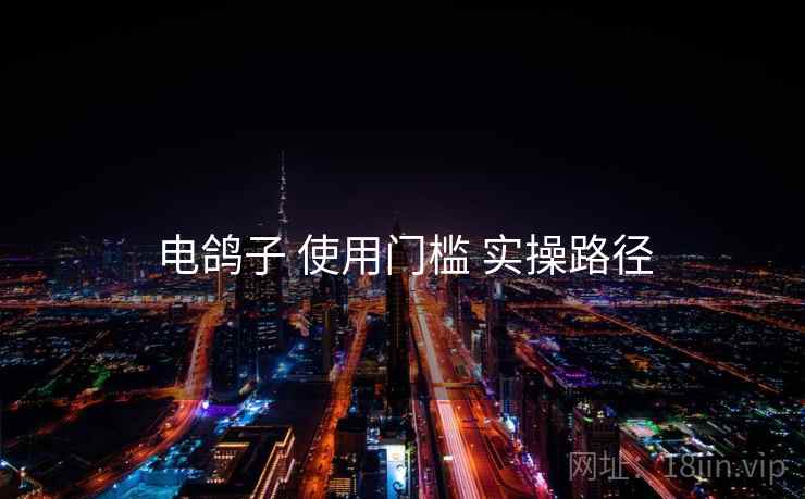 电鸽子 使用门槛 实操路径 电鸽子 使用门槛 实操路径