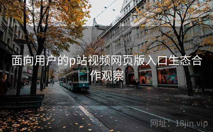 面向用户的p站视频网页版入口生态合作观察 面向用户的p站视频网页版入口生态合作观察
