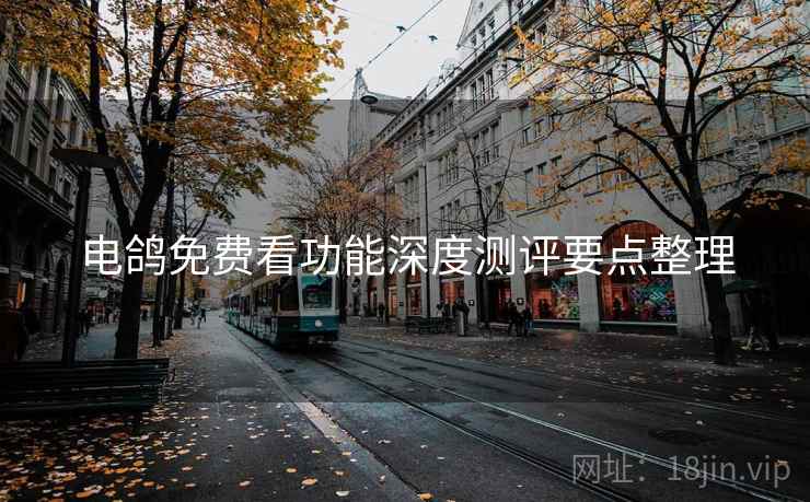 电鸽免费看功能深度测评要点整理 电鸽免费看功能深度测评要点整理