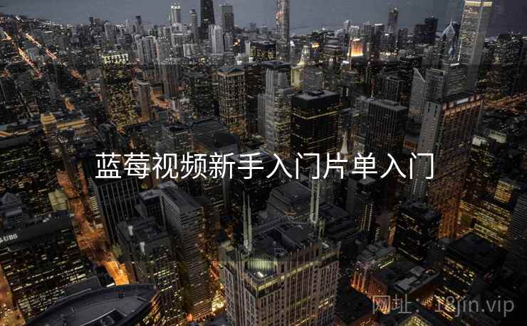 蓝莓视频新手入门片单入门 蓝莓视频新手入门片单入门