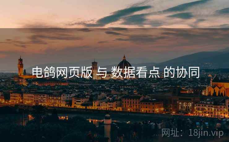 电鸽网页版 与 数据看点 的协同 电鸽网页版 与 数据看点 的协同