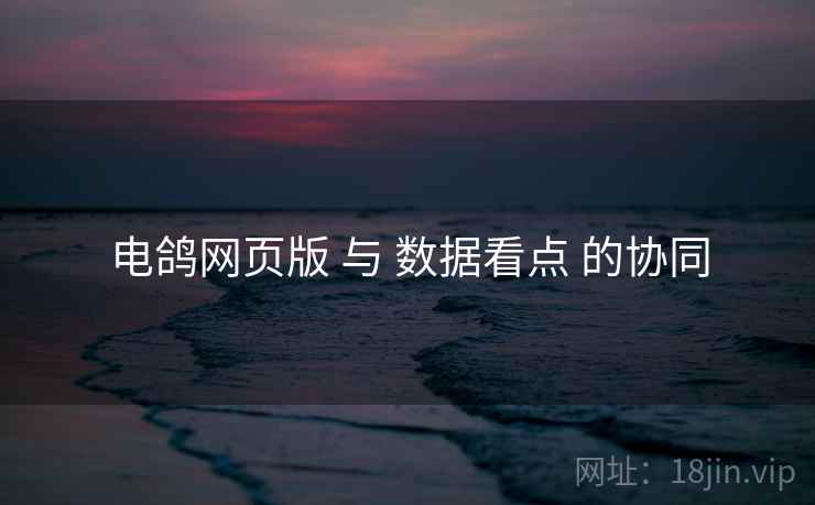 电鸽网页版 与 数据看点 的协同 电鸽网页版 与 数据看点 的协同