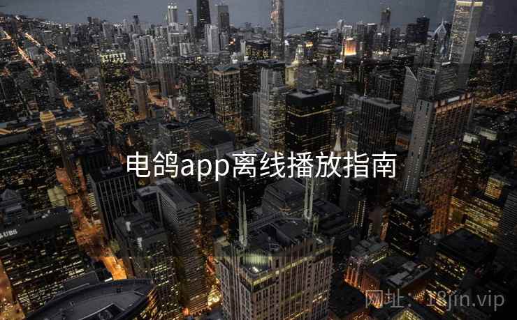 电鸽app离线播放指南 电鸽app离线播放指南