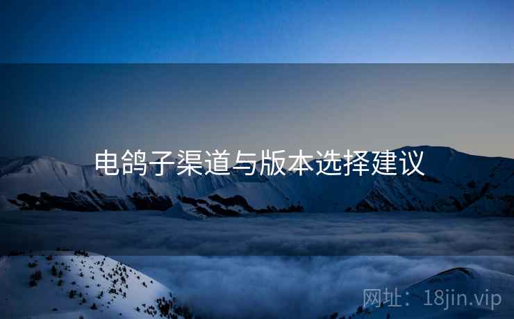 电鸽子渠道与版本选择建议 电鸽子渠道与版本选择建议