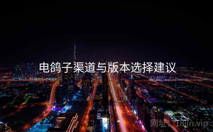 电鸽子渠道与版本选择建议 电鸽子渠道与版本选择建议