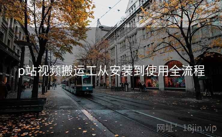 p站视频搬运工从安装到使用全流程 p站视频搬运工从安装到使用全流程