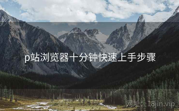 p站浏览器十分钟快速上手步骤 p站浏览器十分钟快速上手步骤