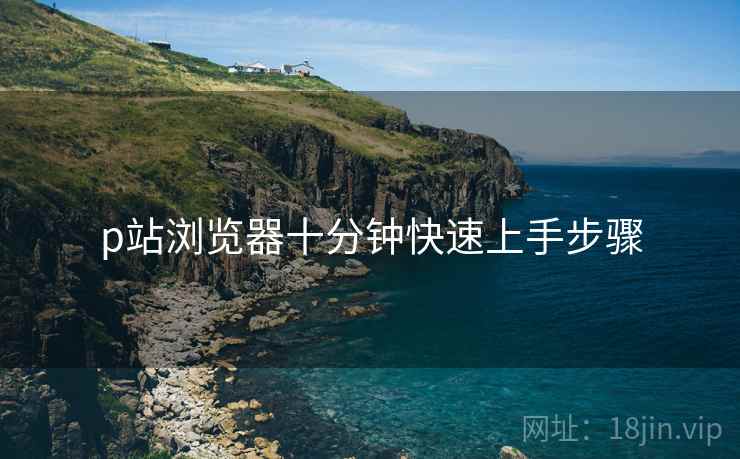 p站浏览器十分钟快速上手步骤 p站浏览器十分钟快速上手步骤