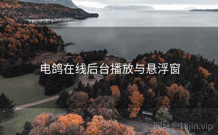 电鸽在线后台播放与悬浮窗 电鸽在线后台播放与悬浮窗